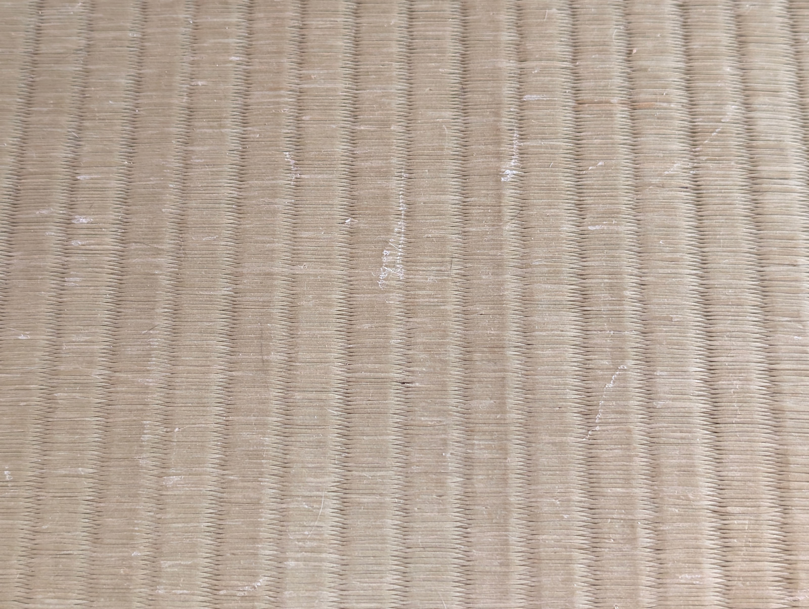 和紙畳に猫の爪痕